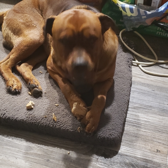 ONLIVE NOW COME JOIN - Picture 6 of 6